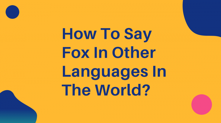How To Say fox In Other Languages ​​In The World?