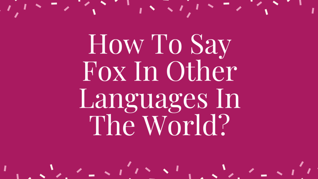 How To Say Fox In Other Languages ​​In The World?