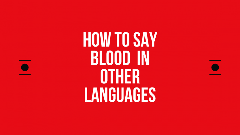 How to Say blood in Other Languages in the World?