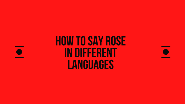 How to Say Rose in Other Languages In The World