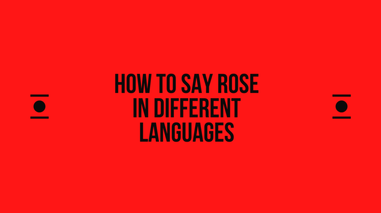 How to Say Rose in Other Languages In The World