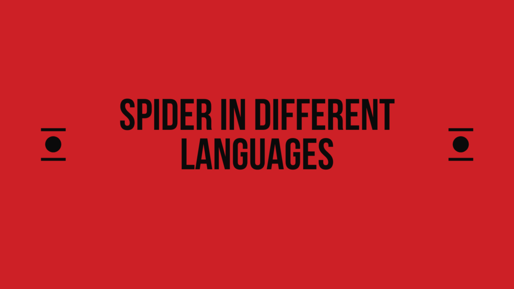 How to Say Spider in Other Languages In The World?