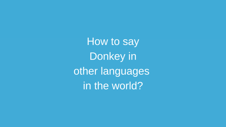 How to say Donkey in other languages ​​in the world?