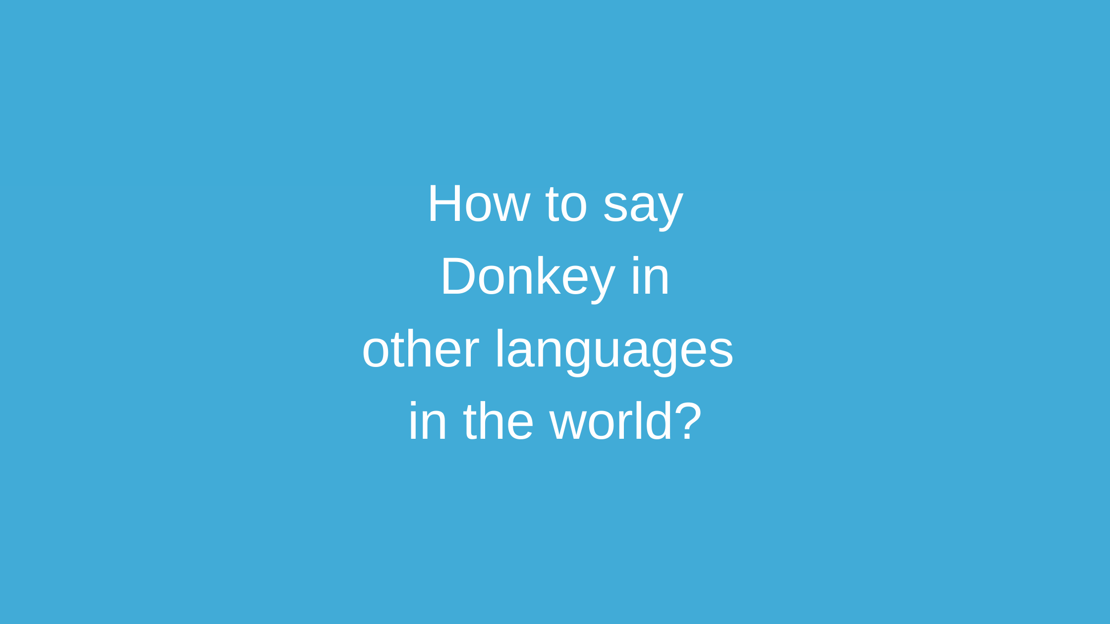 How to say Donkey in other languages ​​in the world?