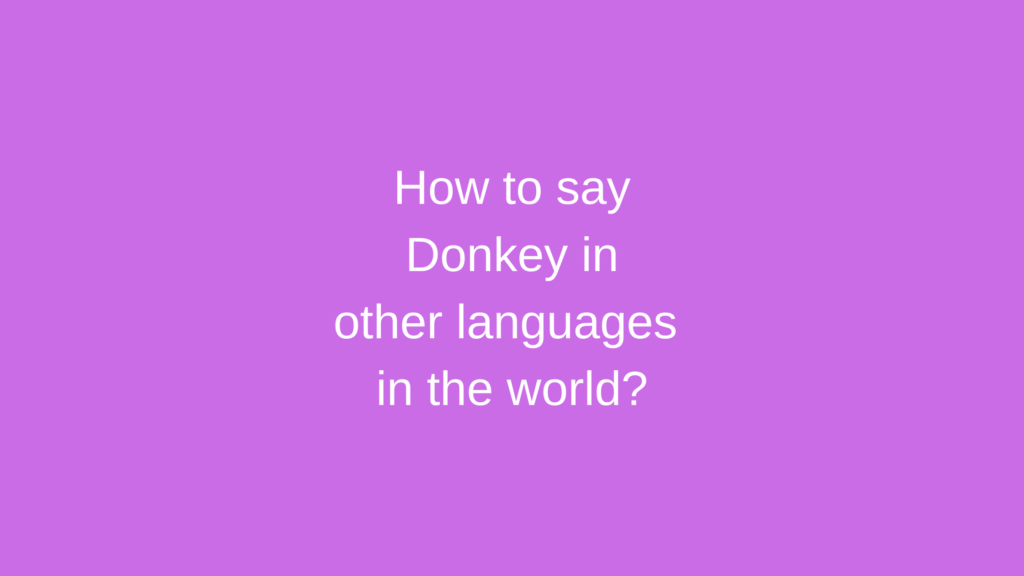 How to say Donkey in other languages ​​in the world?