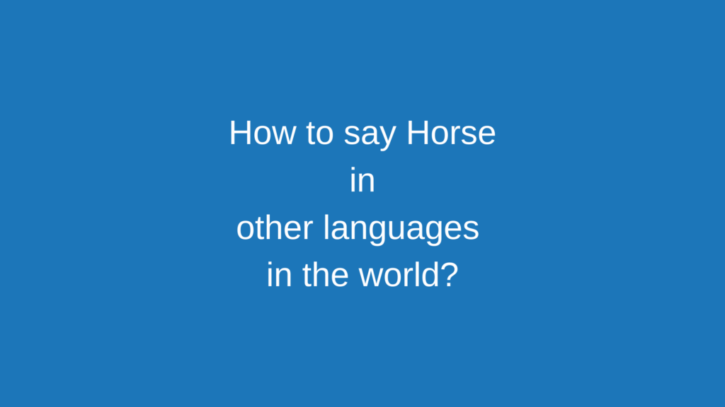 How to say Horse in other languages ​​in the world?
