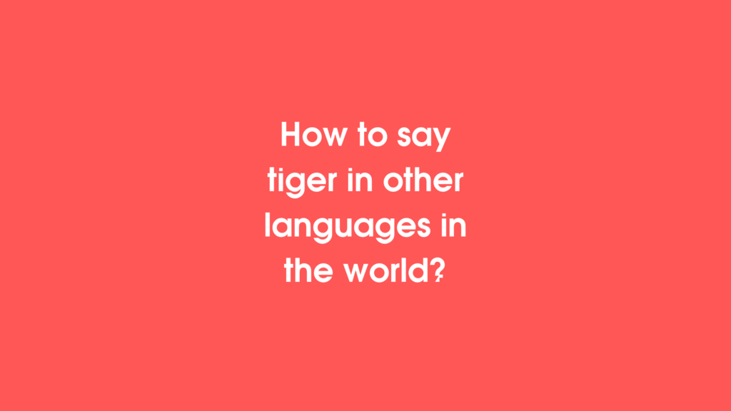 How to say tiger in different languages ​​in the world?