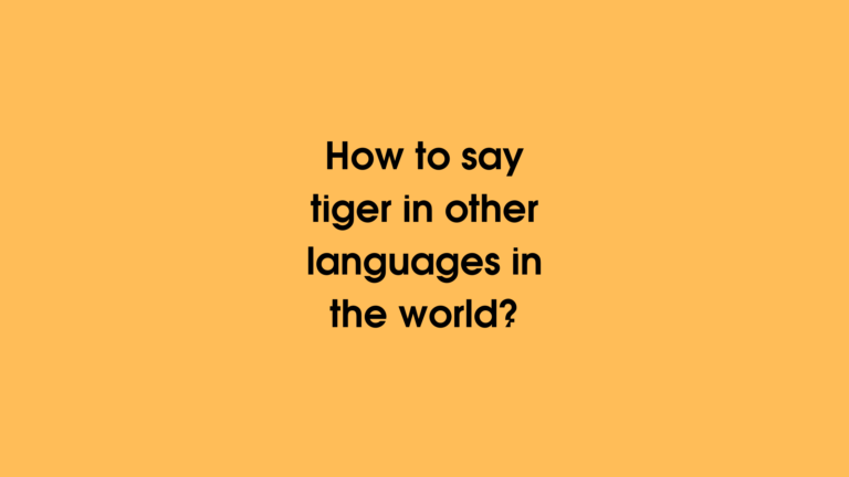 How to say tiger in different languages ​​in the world?