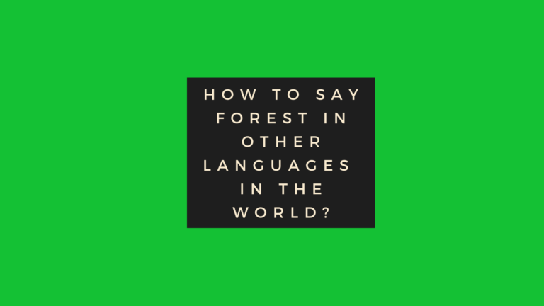 How to say forest in other languages ​​in the world?