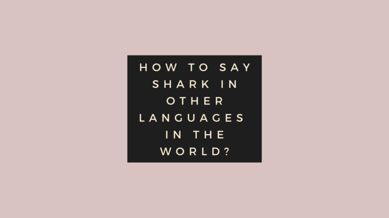 How to say Shark in other languages in the world?