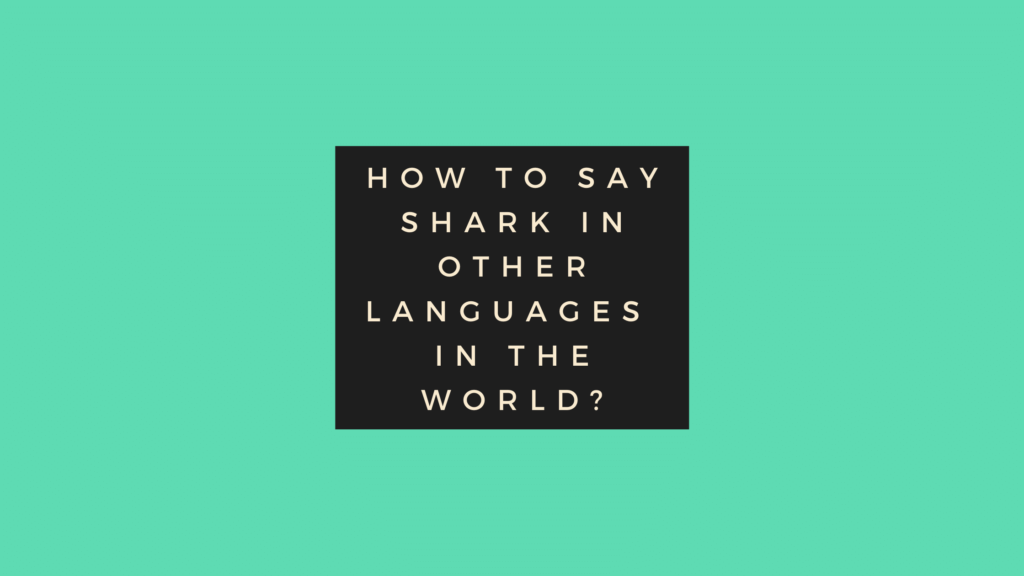 How to say Shark in other languages in the world?