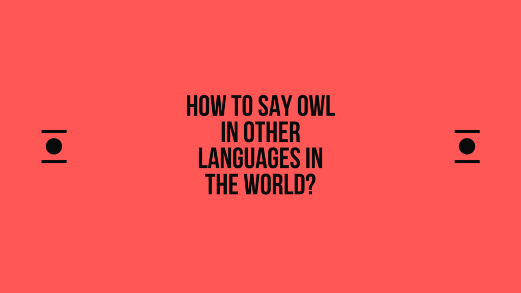 How to say owl in other languages in the world? | Live sarkari yojana