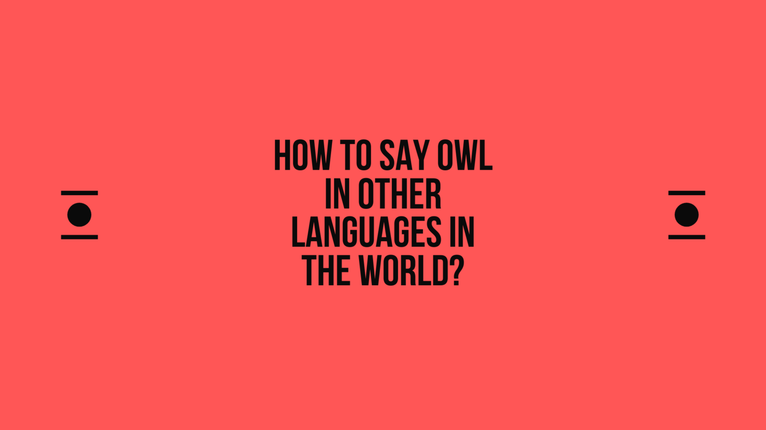 how-to-say-owl-in-other-languages-in-the-world-live-sarkari-yojana