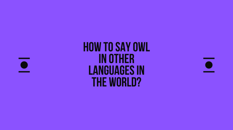 How to say owl in other languages in the world? | Live sarkari yojana