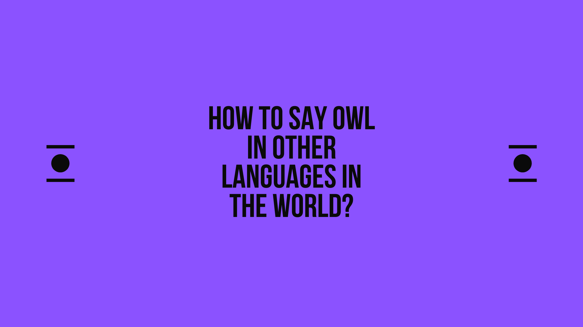 How to say owl in other languages in the world? | Live sarkari yojana