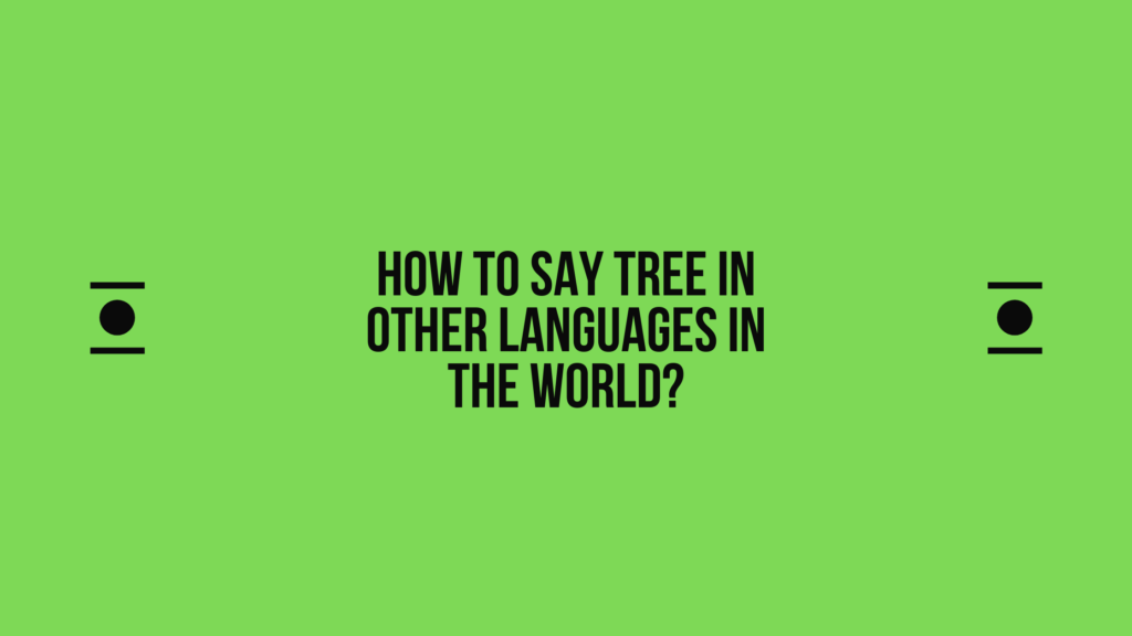 How to say Tree in other languages ​​in the world?