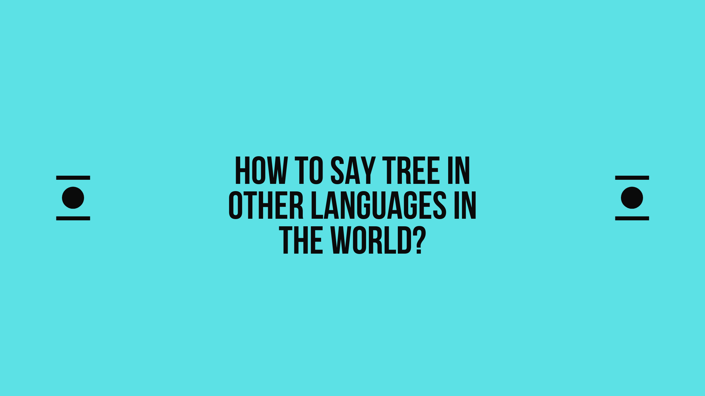 How to say Tree in other languages ​​in the world?