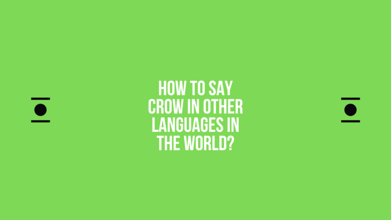 How to say Crow in other languages ​​in the world?