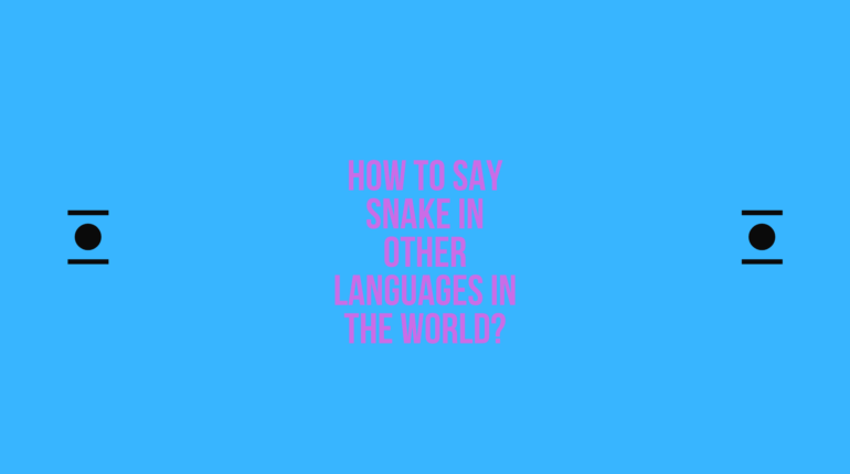 How to say Snake in other languages ​​in the world?