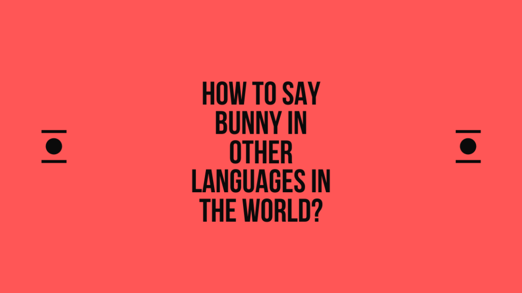 How to say Bunny in other languages ​​in the world?