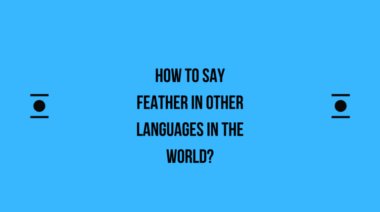 How to say Feather in other languages ​​in the world?