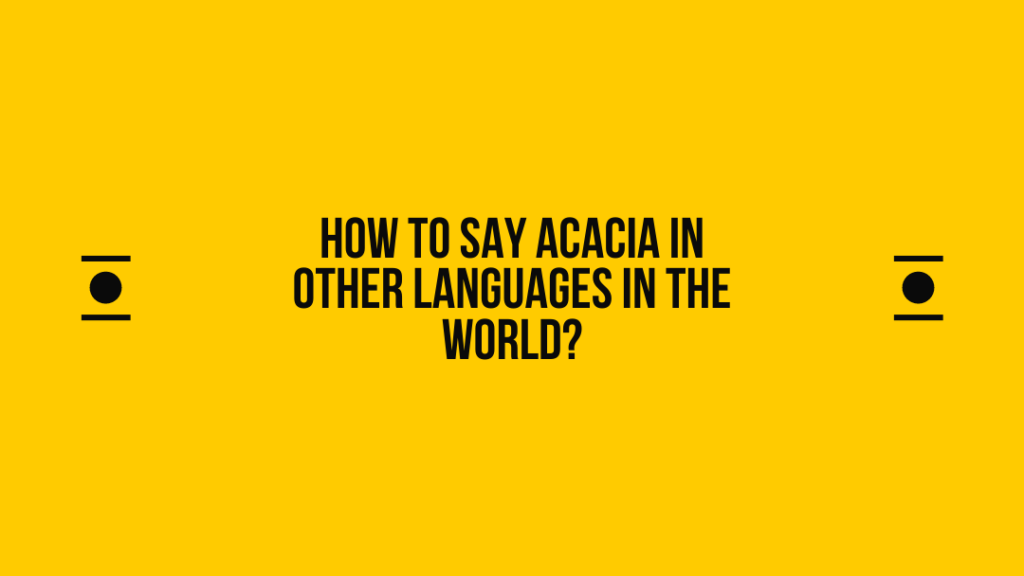 How to say Acacia in other languages ​​in the world?