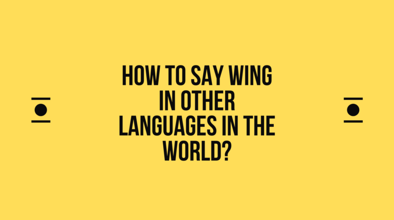 How to say wing in other languages in the world?