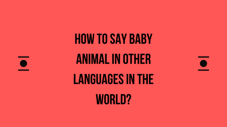 How to say Baby animal in other languages ​​in the world?