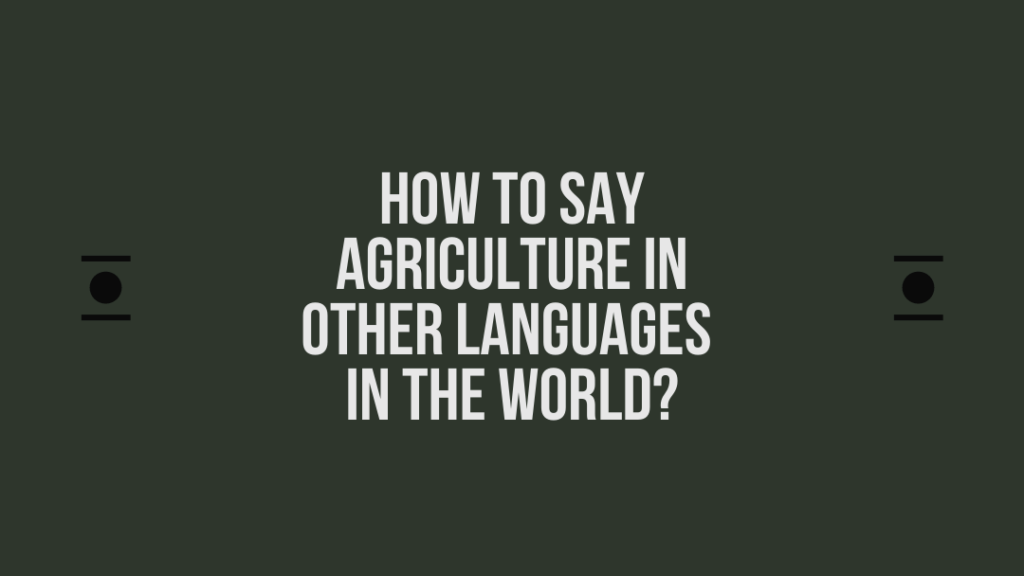 How to say Agriculture in other languages ​​in the world?