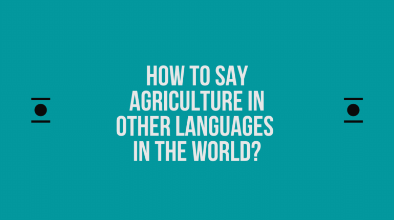 How to say Agriculture in other languages ​​in the world?