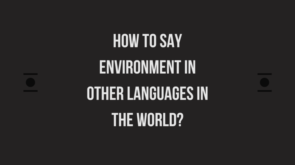 How to say Environment in other languages ​​in the world?