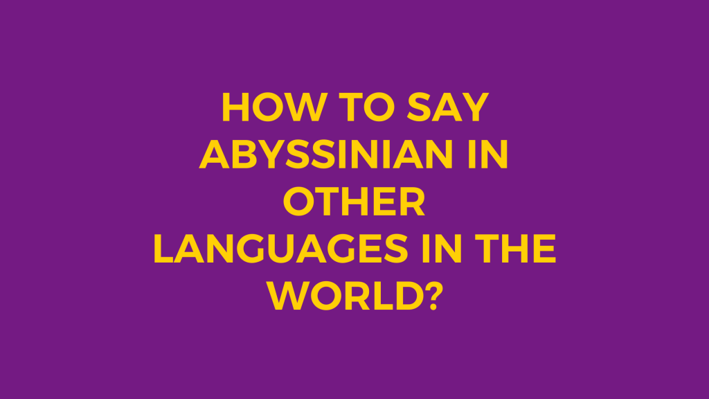 How to say Abyssinian in other languages ​​in the world?