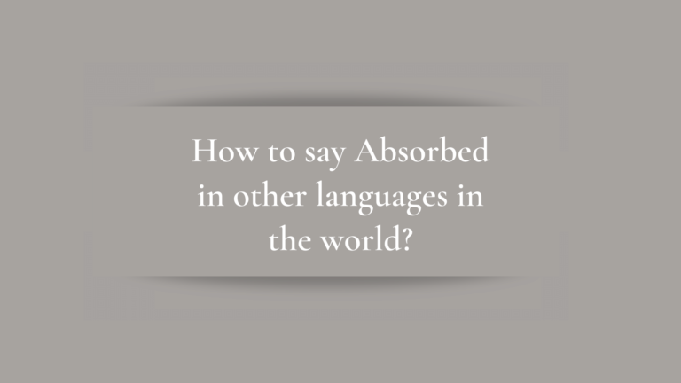 How to say Absorbed in other languages ​​in the world?