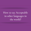 How to say Acceptable in other languages ​​in the world?
