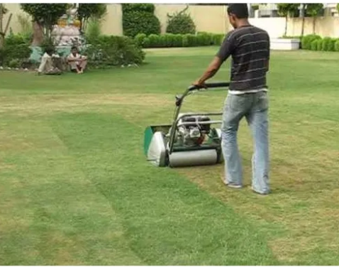 "Discover the Best Grass Cutting Machine for Your Lawn